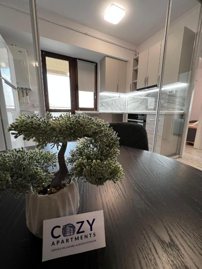 Cozy Apartments - City Center 이아시 외부 사진